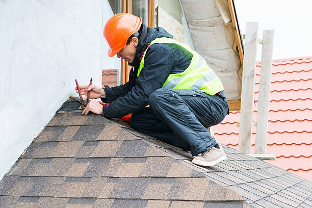 Best Roof Gutter Cleaning  in Lliams Bay, WI